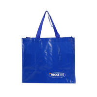 Custom Foldable Pp Woven Shopping Bag Manufacturers