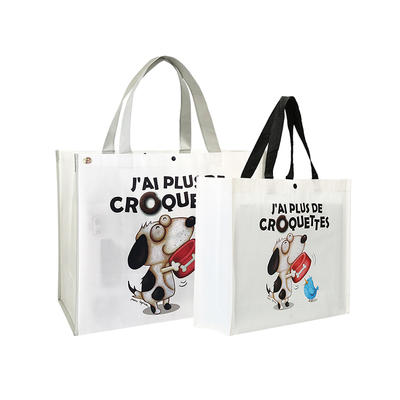Custom Printing Foldable Tote Non Woven Bag Suppliers
