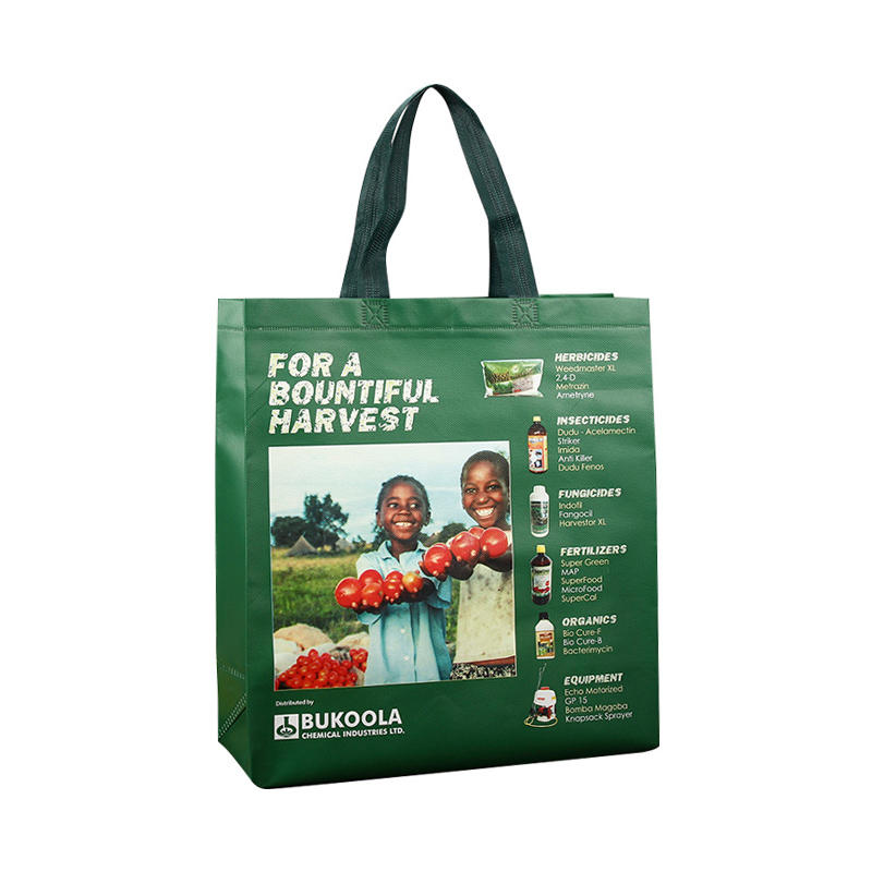 Custom Non Woven Promotional Bags with Lamination for Supermarket