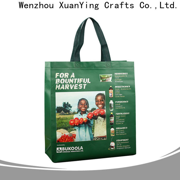 New non woven promotional bags suppliers for wine bottle